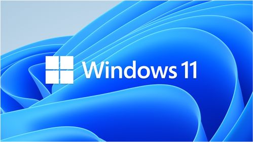 微软Windows11强制登录界面示意图