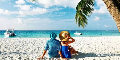 五一最火“旅游搭子”问世，吸金数亿、风口起飞