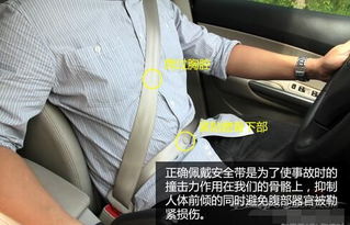 安全带正确佩戴方式