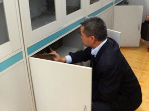 专家检查石狮结构的照片