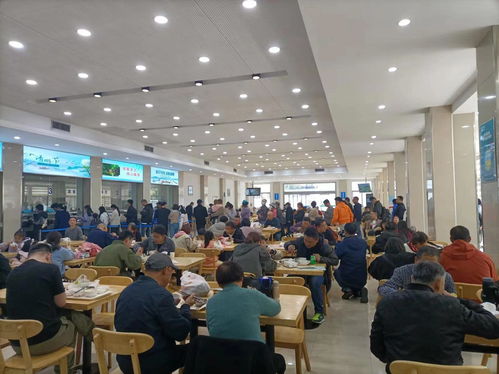 游客挤爆荣昌政府食堂！一天狂吃1500斤猪肉，我也忍不住去打卡了