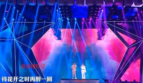 知更鸟与匹诺康尼同台演唱