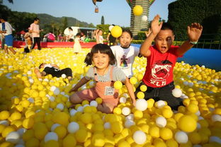 孩子在海洋球池中开心玩耍的照片