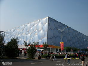 陪看跳水世界杯总决赛：我在‘水立方’见证中国跳水梦之队的荣耀时刻