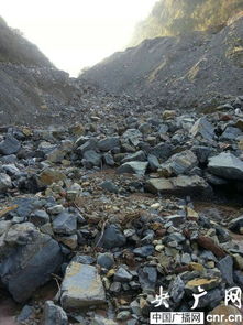 贵州赤水岩体崩塌：惊险瞬间与背后的安全警示