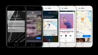手机屏幕上显示林小满的留言内容