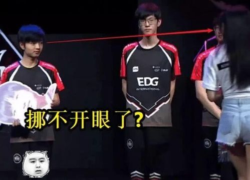 粉丝在机场举牌欢迎EDG回家