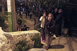 智利沿海居民紧急撤离现场<h2>海啸未至，人心已乱</h2><p>我们在高地上等待了整整两个小时，期间不断有政府车辆广播提醒民众保持冷静并远离海岸线。尽管最终并未观测到大规模海啸，但那种未知的恐惧感却久久无法散去。</p><p>一位当地的渔民告诉我：“我们经历过多次地震和海啸警报，但每次都不敢掉以轻心。”</p><h2>回顾历史：全球多地频发强震</h2><p>其实这并不是今年第一次强震。就在不久前，瓦努阿图群岛也发生了<strong style='color:#5cb85c;'>7.2级地震</strong>，引发局地海啸；美国加州也曾因7.5级地震触发海啸警报。</p><p>这些事件再次提醒我们，地球并不平静，我们必须时刻准备应对可能的自然灾害。</p><img src=