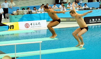 全红婵陈芋汐再交锋！跳水世界杯总决赛今日开赛，中国队剑指首金