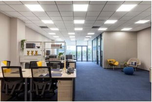 现代办公室里一位程序员专注敲代码