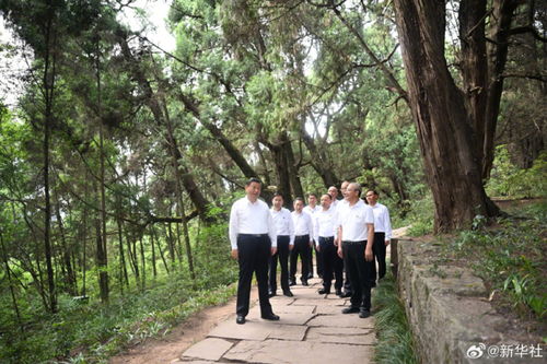 日网红炒作“中国人偷电”反成笑柄，真相曝光网友直呼尴尬