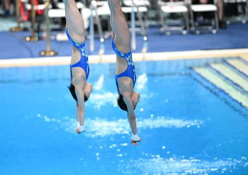 全红婵陈芋汐跳水世界杯冠军：巅峰对决背后的真实故事