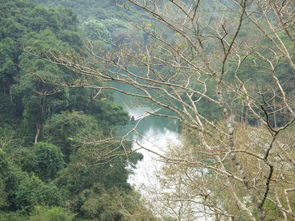 阳光洒在桌面上的笔记本和笔<p style=