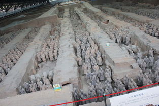 兵在哪马在哪俑在哪导游你在哪？一场穿越千年的对话