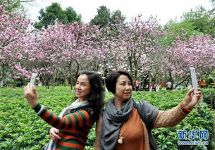 一名用户在手机上查看旅游搭子APP界面<br><h3>5.1 资本与监管如何平衡？</h3><p>随着热度上升，监管层面也开始关注这一新兴领域。如何在鼓励创新的同时保障消费者权益，将是未来需要解决的关键问题。</p><p>可以预见的是，未来一段时间内，“旅游搭子”将迎来一轮洗牌期，只有真正具备核心竞争力的平台才能脱颖而出。</p><br><h2>六、结语：一场关于“陪伴”的旅行实验</h2><p>“旅游搭子”不仅仅是一种出行方式的改变，更是一次社会关系的重构尝试。它反映了当代年轻人对“孤独”与“陪伴”的重新理解。</p><p>或许，未来的旅行不再是单纯的风景打卡，而是更多地关乎人与人之间的情感连接。</p><p style=