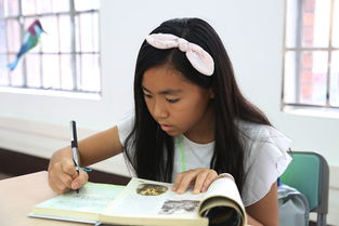 《平均的终结》QAS读书笔记：我的深度阅读体验与思考