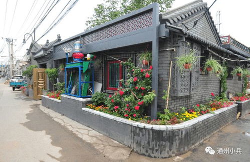 加沙人买一袋面粉要花4000元，战争下的生活有多残酷？