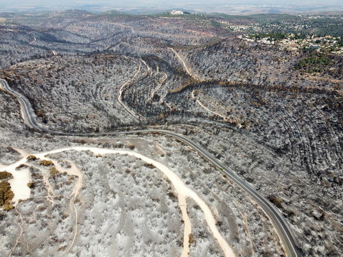耶路撒冷附近山火烧毁森林保护区无人机照片