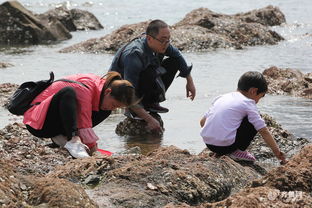 景区怕游客不会赶海撒蛤蜊助力，我亲历的这场海边奇遇记