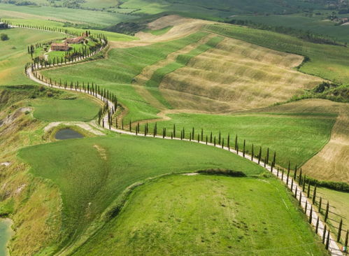 农田与树林交界处