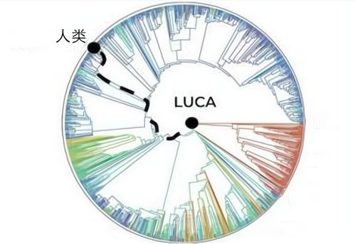 科学家与生命树交互的场景