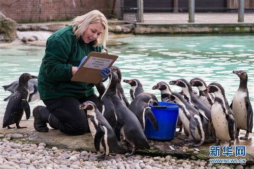 章泽天带孩子散步照片