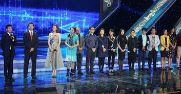 央视辟谣韩团演出风波背后的文化交流争议