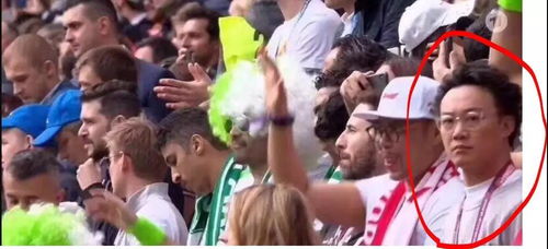 观众席上球迷表情严肃