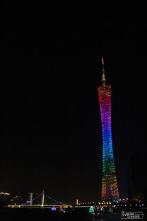 大数据揭秘五一假期出游趋势，我的真实出行体验与AI计划分享