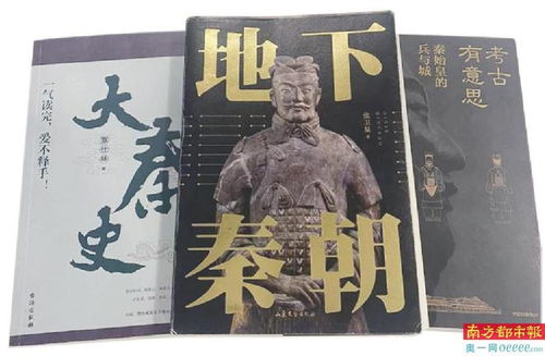 西安导游芥末讲解兵马俑现场