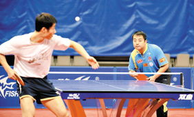 王励勤与刘国梁握手