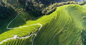 外国友人劳动节体验广西龙脊耕田，原来这才是真正的田园生活！