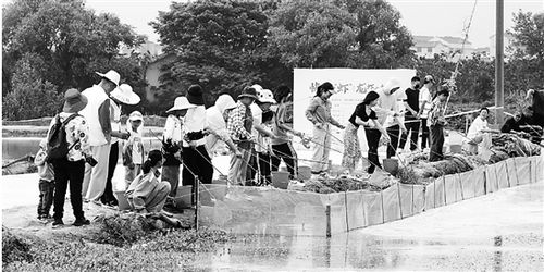 五一假期多地打造文旅消费新场景｜我在现场感受“虾趣横生”的乡村游