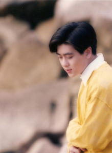 5亿遗产高中生坠亡案再诉被驳，真相背后的痛与法