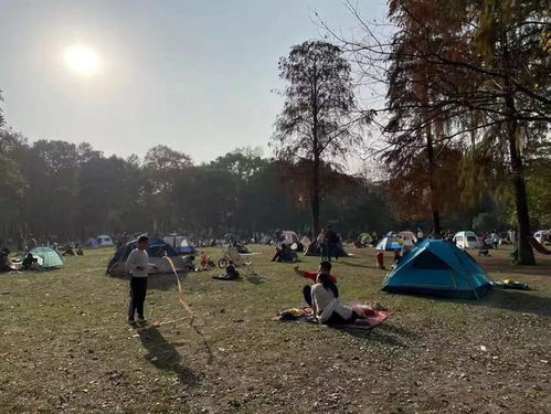 几位年轻人围坐在公园草地上分享读书心得