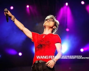 演唱会现场观众举起手机拍摄王力宏险些跌落瞬间