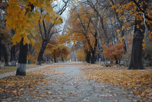 回府路上，我找回了遗失的自己
