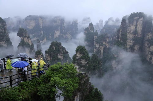 五一张家界“长”满外国人，我亲历的国际旅游热现场