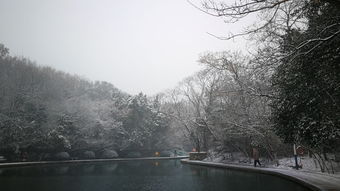 “快雪时晴”，痛快！一场冬日里的灵魂治愈之旅