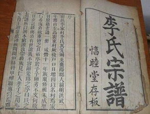 一本古老的族谱摊开在桌上