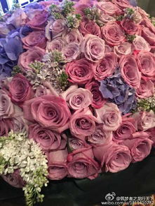 绿化带中的玫瑰