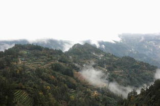 写尽人间清绝意，不须更羡辋川庄：一场心灵的山水之旅