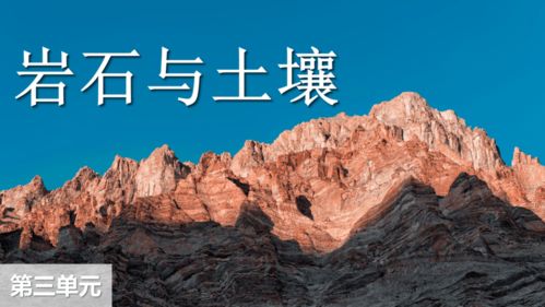 石头甚至不能降解，为什么不如塑料危害性大？