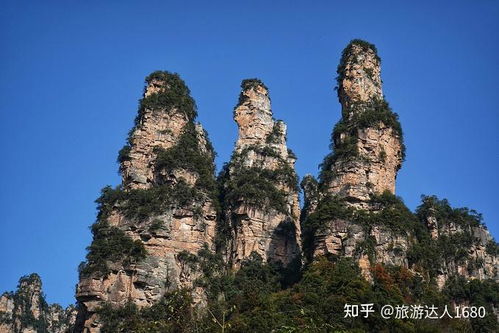 外国游客为何“扎堆”张家界？一个中国小城的全球吸引力揭秘