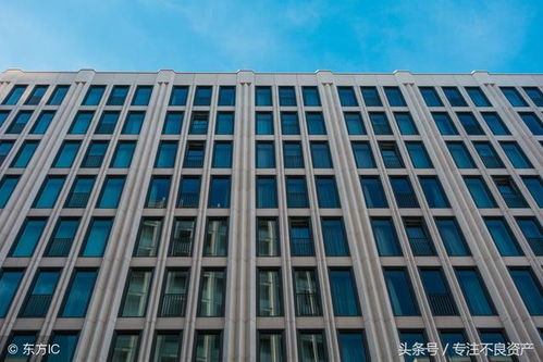 人生感悟19：在努力与坚持中，遇见更好的自己