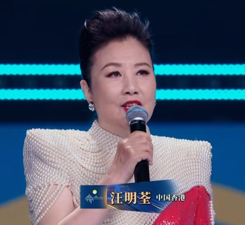 王力宏湾区升明月演出照片