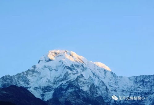 摧残冒险人｜在极限挑战中迷失的我，如何找回初心？