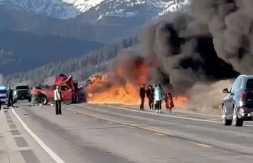 美国黄石公园附近发生撞车事故致7死，悲剧背后谁该负责？