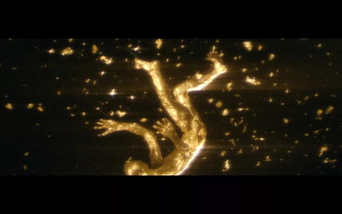 夜空中快速掠过的黑影影像截图