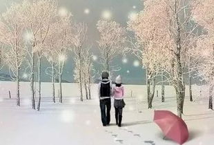 情侣在雪地牵手散步